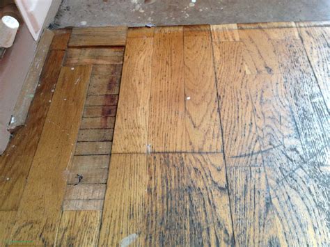 13 Lovable Hardwood Floor Scratch Repair Unique Flooring Ideas