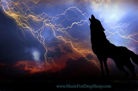 The Wolf Night And Lightning Animal Tracks Nature Animals