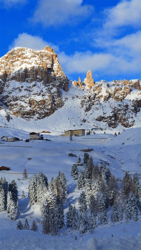 Wallpaper Dolomites Alps Mountains Snow Winter Trees