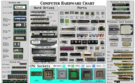 The Computer Hardware Chart Identifies Your Pcs Parts