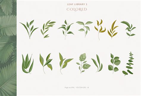 Greenery Leaves Watercolor Line Art Vector Pencil Sketch