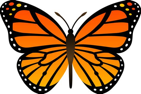 Download Cartoon Butterfly Hq Png Image Freepngimg