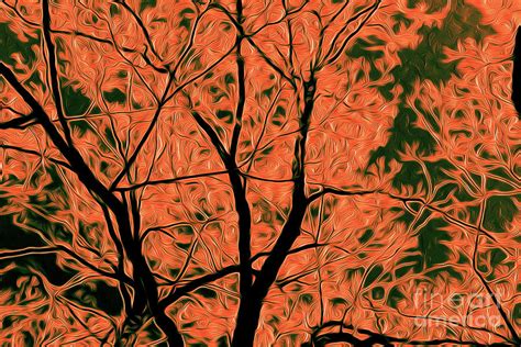 Tree Branches 2 Digital Art By Chris Taggart Fine Art America