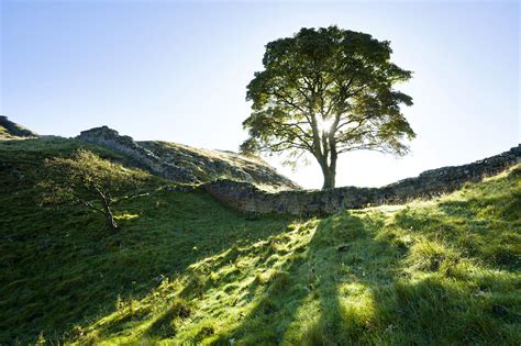 Top 10 National Parks In England Lonely Planet