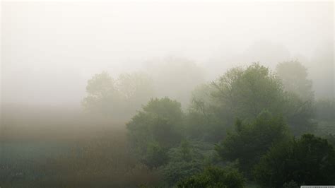 Morning Fog Wallpaper