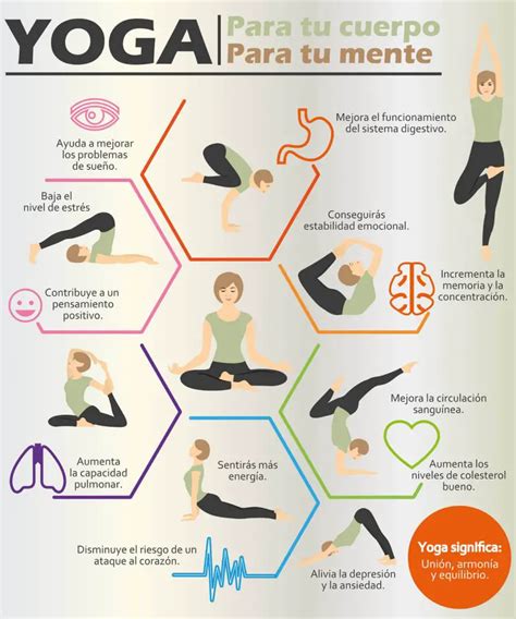 yoga para principiantes guía completa para empezar ¡animate