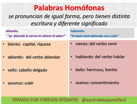 CLASES DE ESPAÑOL FÁCIL Las palabras homófonas
