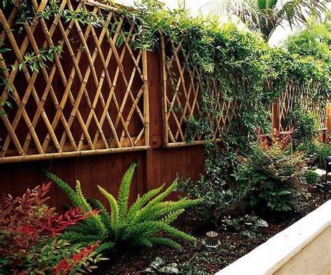 20 Private Bamboo Fence Design Ideas For Backyard Wall Mounted