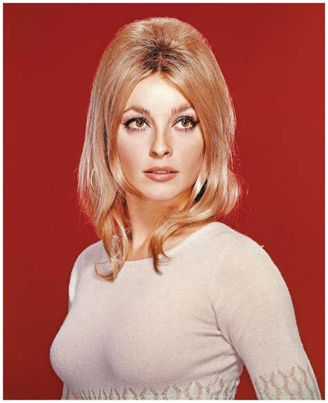 pictures of sharon tate