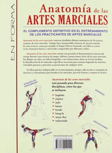 Anatomía de las artes marciales Kung fu Basic Artes marciales Estilos de artes marciales y