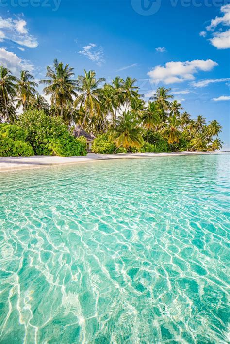 Beautiful Tropical Beach Calm Turquoise Sea Lagoon White Sand Palm