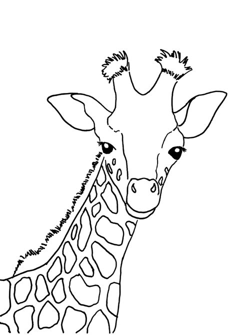 30 Disegni Di Giraffe Da Colorare Pianetabambiniit