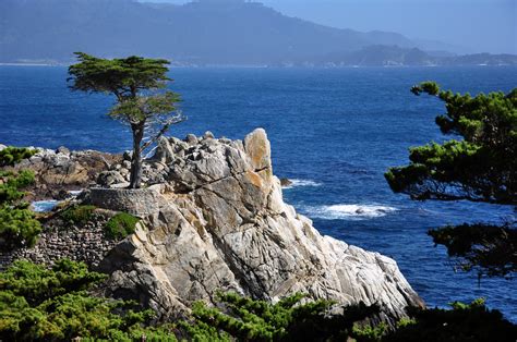The Lone Cypress In Pebble Beach 17 Mile Drive Monterey Viagem Com