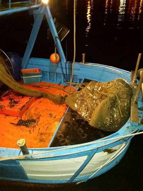 Pesca Illegale Nel Golfo Di Salerno Sequestrati Attrezzi E Prodotti