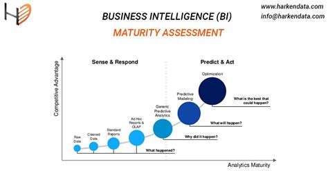 Bi Assessment Business Intelligence Maturity Assessment