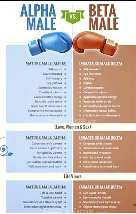 Very Interesting Alpha Male Quotes Alpha Male Alpha Male Traits