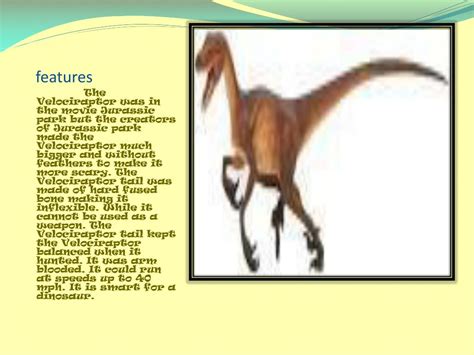 Ppt Velociraptor Powerpoint Presentation Free Download Id2211075