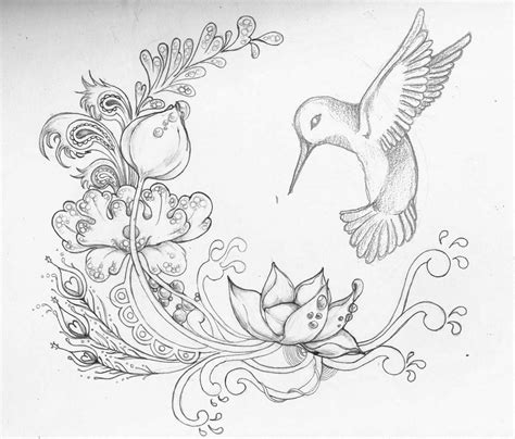 Drawings Of Hummingbirds And Flowers Drawn Hummingbird Rose Pencil
