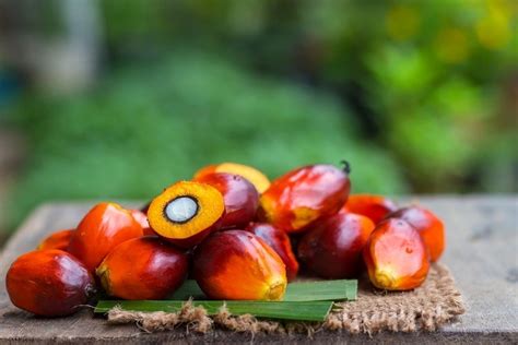 The benefits of palm oil. Health Benefits of Palm Oil | ZUBEE'S ORGANIC KITCHEN