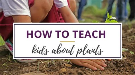 Want To Know The Best Ways To Teach Kids About Plants Here Are Nine