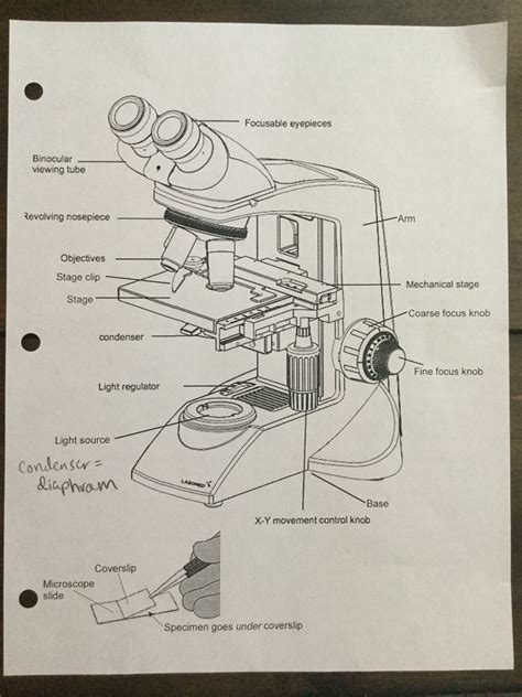 Diagram Of A Binocular Microscope Photos