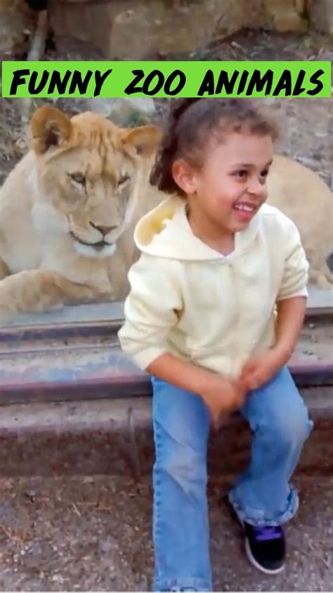 These Funny Zoo Animals Are Having A Great Time Playing With The Kids