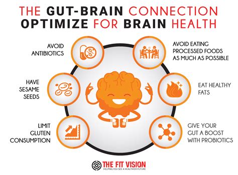 The Gut Brain Connection What Is It And How You Can Optimize It For