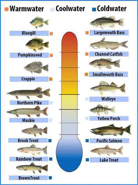 Printable Fish Tank Ph Level Chart