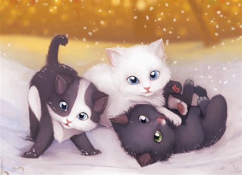 Cute Kittens Kittens Fan Art 16155336 Fanpop