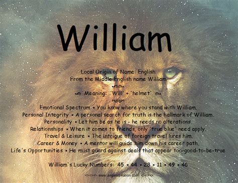 name meaning for william random business name