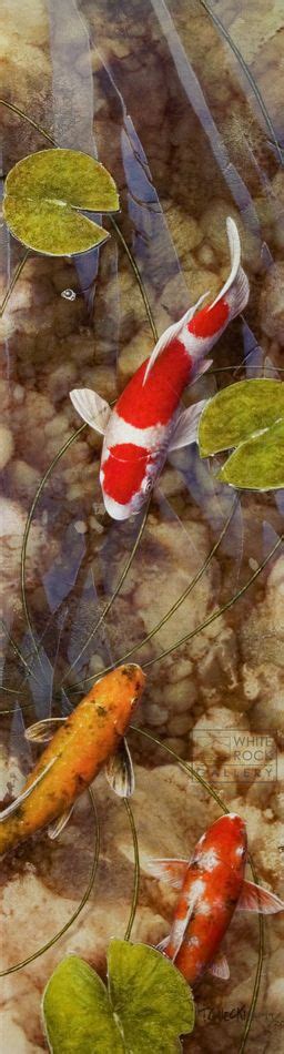 Print Gallery Archives Koi Fish Paintings By Terry Gilecki Fish