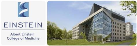 Yeshiva University Albert Einstein College Of Medicine Top Medical