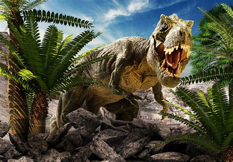 Plakat Poster Dinozaur Dinozaury 40x30 WybÓr 7794684514 Allegropl
