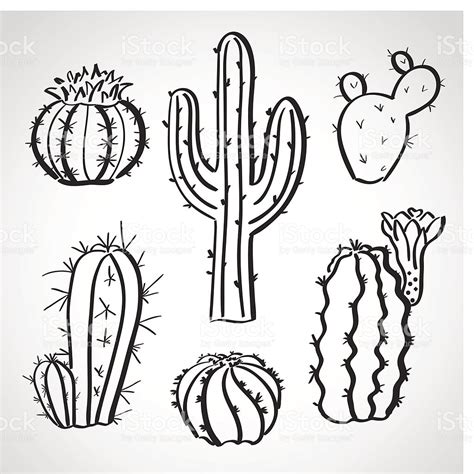 Barrel Cactus Page Coloring Pages