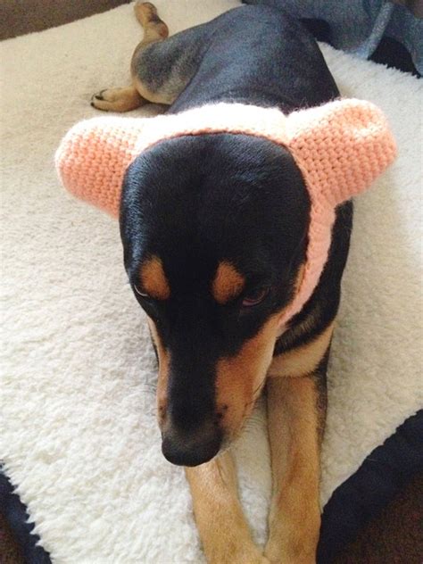 Dog Ear Warmer Hat Crochet Dog Headband Dog Hats For Dogs