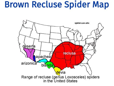 Brown Recluse Spider Habitat Map