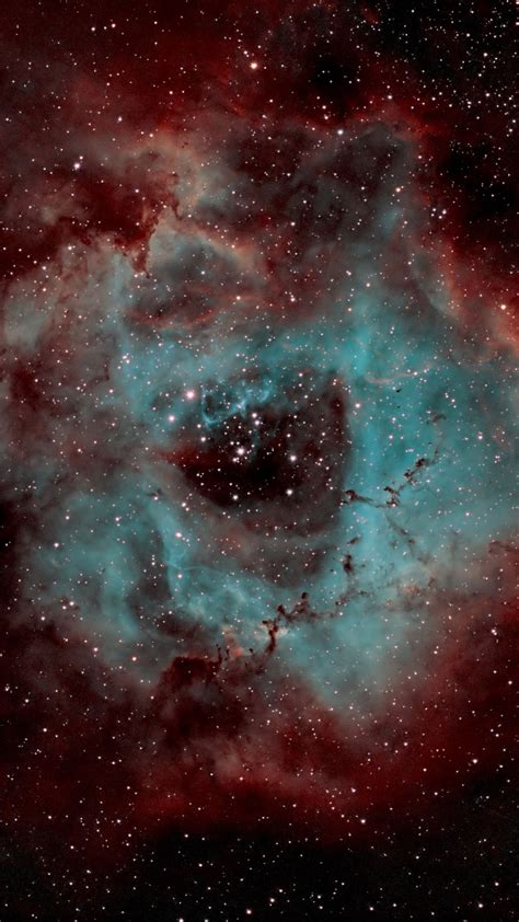 Download Wallpaper 1350x2400 Rosette Nebula Nebula Shine Stars