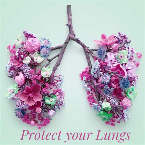 Protect Your Lungs – The Healthy Life Foundation
