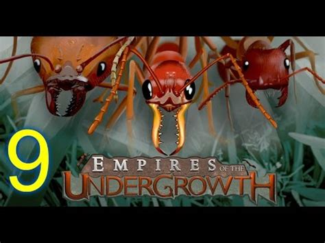 This guide contains a complete list of all working and expired ant colony simulator (roblox game by nyonic) promo codes. EMPIRES OF THE UNDERGROWTH (HD) Subshouts --9 (Ant ...