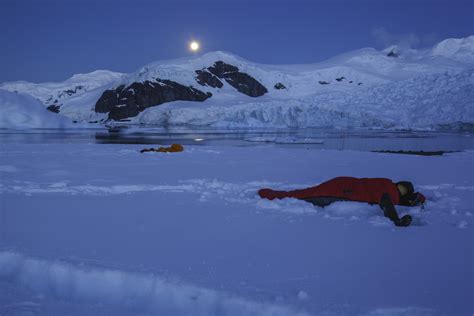 19 Best Things To Do In Antarctica In 2024 Explorello