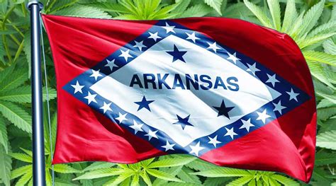 More cannabis medical marijuana card allows you to have access to several cannabis strains, even those not available in other markets. 10 Things You Should Know About Arkansas's Medical Marijuana Program