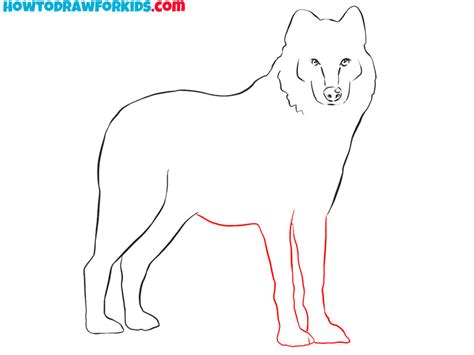 How To Draw A Realistic Wolf Easy Drawing Tutorial For Kids