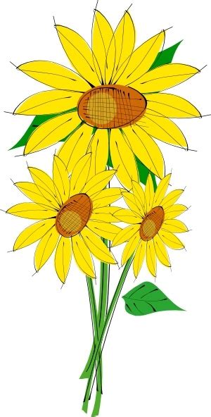 Sunflowers Clip Art Free Vector In Open Office Drawing Svg Svg