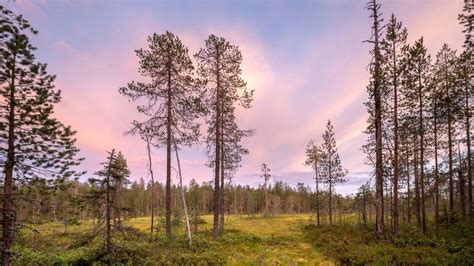 Finlands Most Stunning National Parks