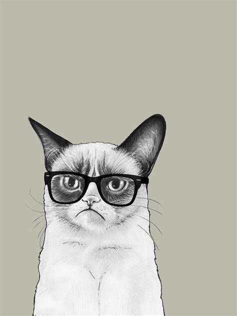 Free Download Cat Drawing Funny Grumpy Cat 2048x2048 For Your Desktop