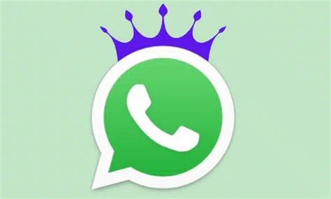 King Whatsapp Apk Gold Green V30 Free Download