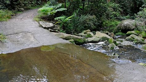 Lane Cove National Park Nsw National Parks