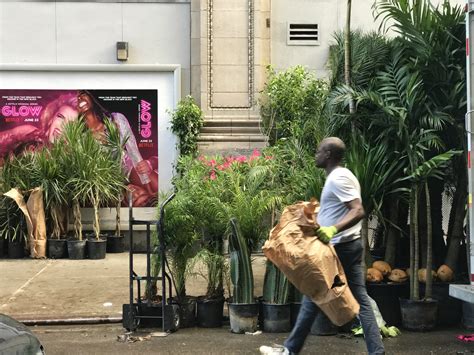 Spend A Morning In The Chelsea Flower Market