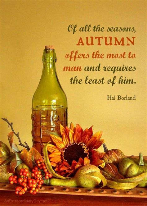 Beautiful Autumn Day Quotes Quotesgram
