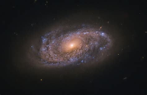 Image Hubble Probes Colorful Galaxy